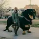 知音的头像-zibll子比社区