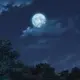 封尘