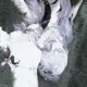 宁舟阳