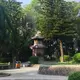 y3514980393的头像-菜鸟论坛