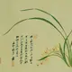 a335006980的头像-zibll子比社区