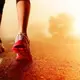 开心的小猪的头像-WordPress主题模板-zibll子比主题