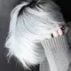qakmak38的头像-zibll子比社区