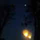 asdasdah的头像-zibll子比社区