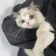 qq715590的头像-菜鸟论坛
