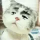 天灵盖飞了