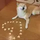 wowopp