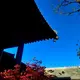 用户96841120的头像-zibll子比社区