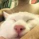 张三