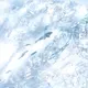 yuandianyun的头像-zibll子比社区