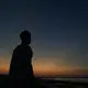 samuel的头像-WordPress主题模板-zibll子比主题