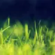 云典网 的头像