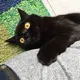 于长野 的头像