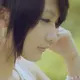 云潮源码库的头像-WordPress主题模板-zibll子比主题