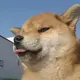 李狗蛋