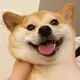 迷之色拉酱