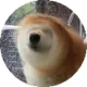 茶备案