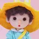 ownstupid的头像-WordPress主题模板-zibll子比主题