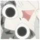 猫10