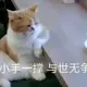 神采奕奕