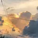 无名于世の鱼