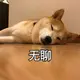 yang441499227的头像-zibll子比社区