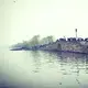telami