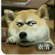 像鱼一样的