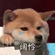 cwVnmASa