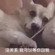 天亿互联