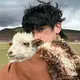 petter 的头像