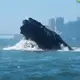 玩旮旯玩的