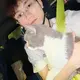 iteyu的头像-zibll子比社区