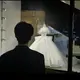 m727536200的头像-WordPress主题模板-zibll子比主题