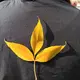 爷爷爷爷