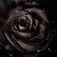 佬9