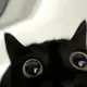 胜多负少