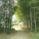 易生