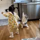 潘柏霖