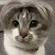 mulin_22