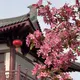 xz888xz的头像-zibll子比社区