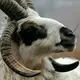 问题