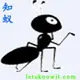 知蚁博客 的头像