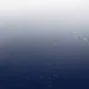 用户68396183的头像-zibll子比社区