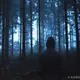 a18243786711的头像-zibll子比社区