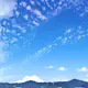 肥猪qwq