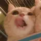1111