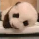 张无计