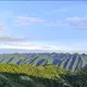 baise的头像-菜鸟论坛