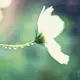 研究僧